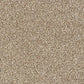 Abingdon Flooring Country Life Carpet with textured beige pattern, soft pile, and durable design for living room or bedroom decor.