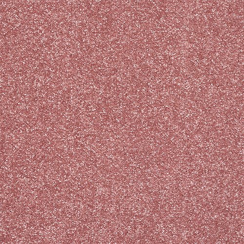 Close-up of Abingdon Flooring Finesse Carpet with soft, textured beige fibers suitable for living room or bedroom flooring.