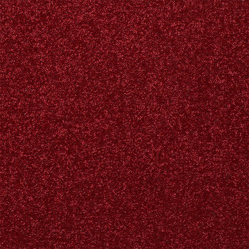 Abingdon Flooring Finesse Carpet with plush beige texture, soft fibers, and durable construction for stylish home flooring.