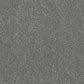 Abingdon Flooring Finesse Carpet with soft beige fibers and textured pattern, ideal for living room or bedroom flooring.