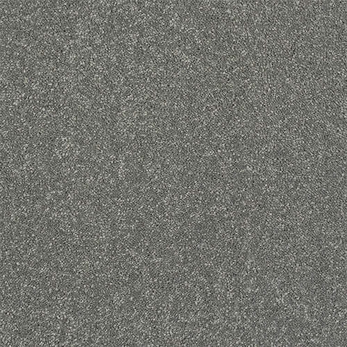 Abingdon Flooring Finesse Carpet with soft beige fibers and textured pattern, ideal for living room or bedroom flooring.