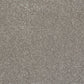 Abingdon Flooring Finesse Carpet with textured beige pile, soft and durable for living room or bedroom flooring.