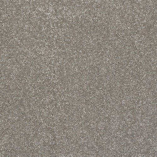 Abingdon Flooring Finesse Carpet with textured beige pile, soft and durable for living room or bedroom flooring.