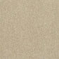 Abingdon Flooring Finesse Carpet with plush beige fibers and subtle pattern, ideal for modern living room flooring.