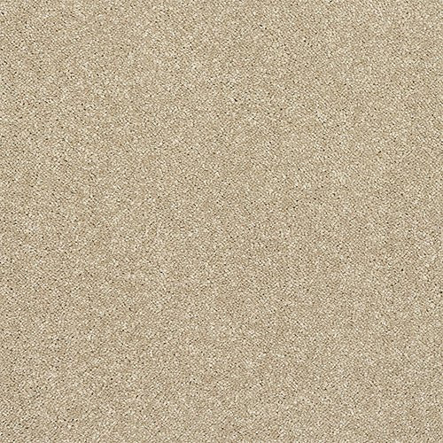 Abingdon Flooring Finesse Carpet with plush beige fibers and subtle pattern, ideal for modern living room flooring.