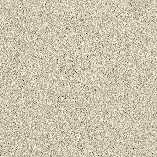 Abingdon Flooring Finesse Carpet with plush texture in neutral beige, showcasing soft, high-quality woven carpet for home interiors.