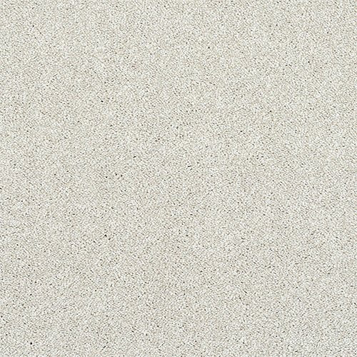 Abingdon Flooring Finesse Carpet with soft beige fibers and textured pattern, ideal for cozy living room or bedroom flooring.