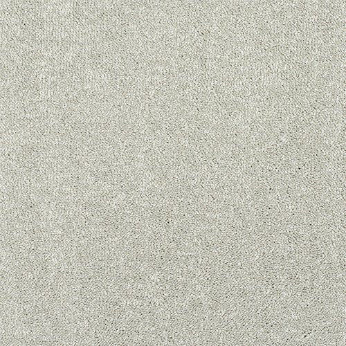 Abingdon Flooring Finesse Carpet with plush beige texture, showing detailed close-up of woven fiber pattern.