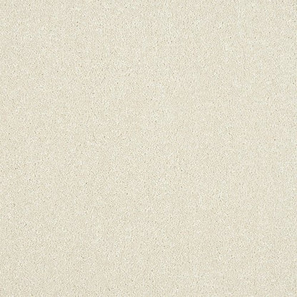 Abingdon Flooring Maximus Carpet with plush beige pile and textured pattern, ideal for living rooms and bedrooms.