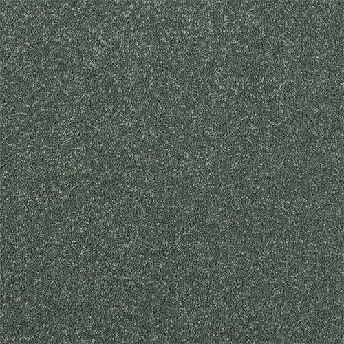 Abingdon Flooring Maximus Carpet with textured beige pattern, plush surface, and durable construction for living room or bedroom.