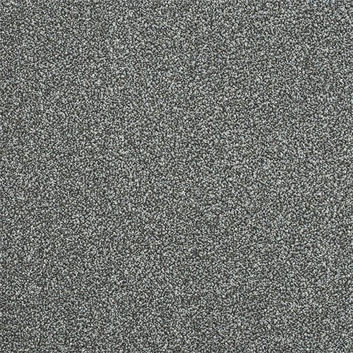 Abingdon Flooring Maximus Carpet with plush, textured gray surface, showcasing a soft, durable carpet for living spaces.