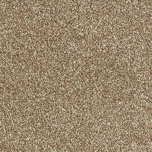 Abingdon Flooring Panache Carpet with intricate pattern in neutral tones, showcasing soft textured surface and stylish design.