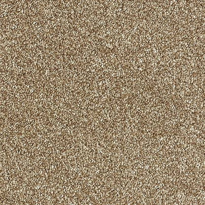 Abingdon Flooring Panache Carpet with intricate pattern in neutral tones, showcasing soft textured surface and stylish design.