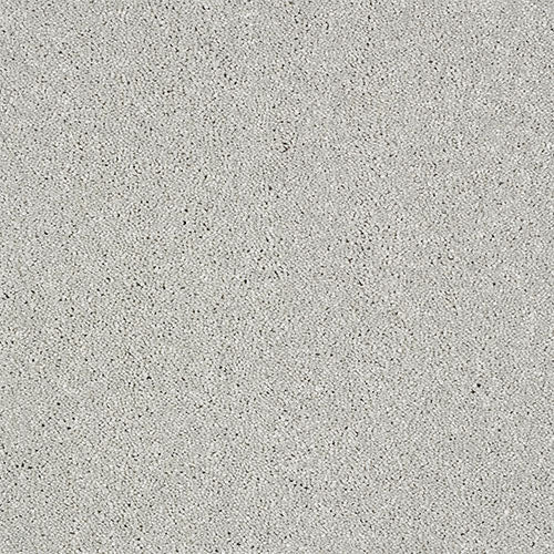 Abingdon Flooring Panache Carpet with intricate patterned design, soft texture, and neutral color for elegant home flooring.