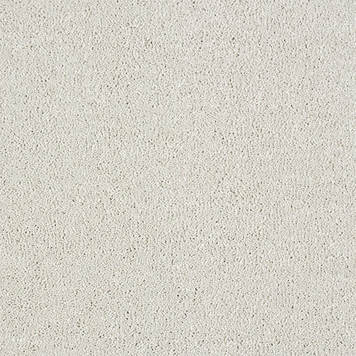 Abingdon Flooring Panache Carpet with intricate pattern and neutral tones, showcasing a plush, high-quality carpet for home decor.