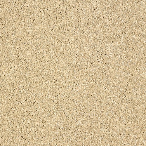 Abingdon Flooring Panache Carpet with intricate pattern and soft texture, ideal for adding elegance to living spaces.