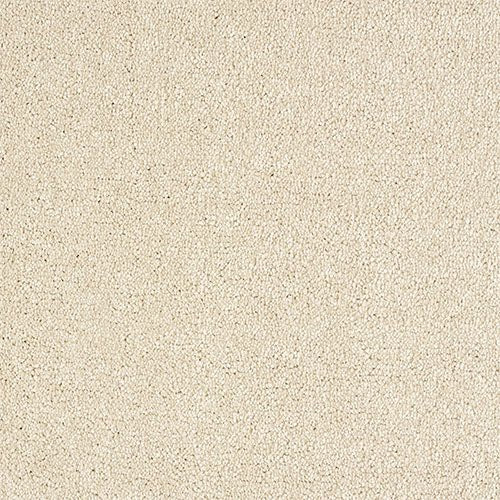 Abingdon Flooring Panache Carpet with intricate patterned design in neutral tones, suitable for living rooms and bedrooms.