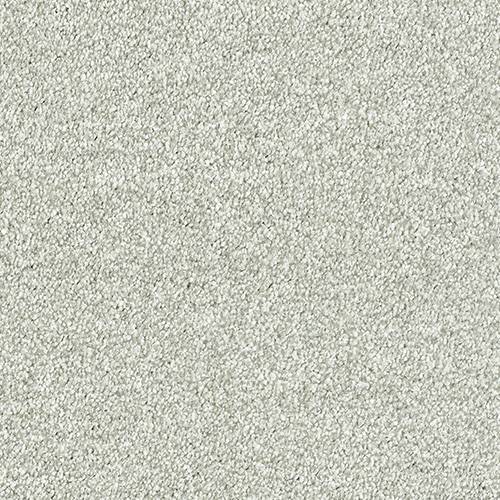 Abingdon Flooring Panache Carpet with intricate pattern in neutral tones, plush texture, suitable for living room or bedroom flooring.