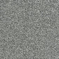 Abingdon Flooring Panache Carpet with intricate pattern and neutral tones, showcasing a plush, textured surface for living room decor.