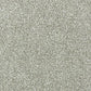Abingdon Flooring Panache Carpet with intricate pattern in neutral tones, showcasing its plush texture and detailed design.