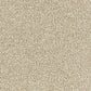 Abingdon Flooring Panache Carpet with intricate patterned design in neutral tones, suitable for living rooms or bedrooms.