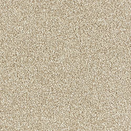 Abingdon Flooring Panache Carpet with intricate patterned design in neutral tones, suitable for living rooms or bedrooms.