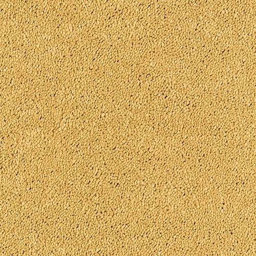Abingdon Flooring Sophisticat carpet in neutral beige with intricate pattern, plush texture, ideal for living room or bedroom flooring.