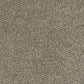 Abingdon Flooring Sophisticat Carpet with intricate pattern in neutral tones, plush texture, suitable for living rooms or bedrooms