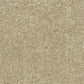 Abingdon Flooring Sophisticat carpet with intricate pattern and plush texture, showcasing elegant design in a close-up view.