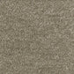 Abingdon Flooring Deep Feelings Carpet with soft, textured surface in neutral tones, ideal for cozy living spaces.