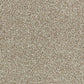 Close-up of Abingdon Flooring Deep Feelings carpet showcasing its textured, soft pile in neutral tones.