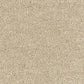 Abingdon Flooring Deep Feelings Carpet with soft, plush texture in neutral tones, ideal for cozy living room or bedroom decor.