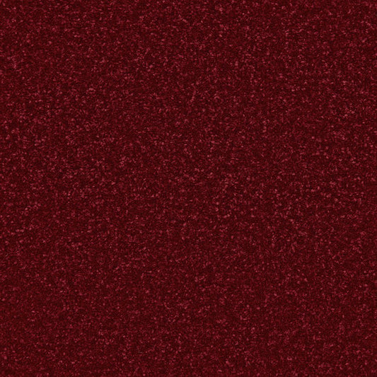 Apollo Plus Easy Clean Carpet - Surefit CarpetsDoncaster