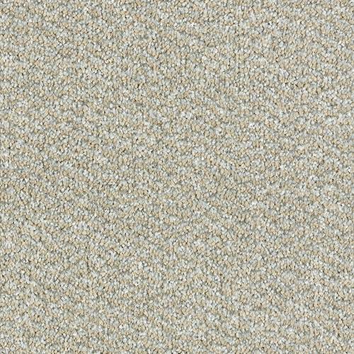 Stainfree Tweed Carpet