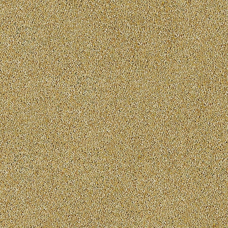Brintons Bell Twist Heather Venetian Marble B64