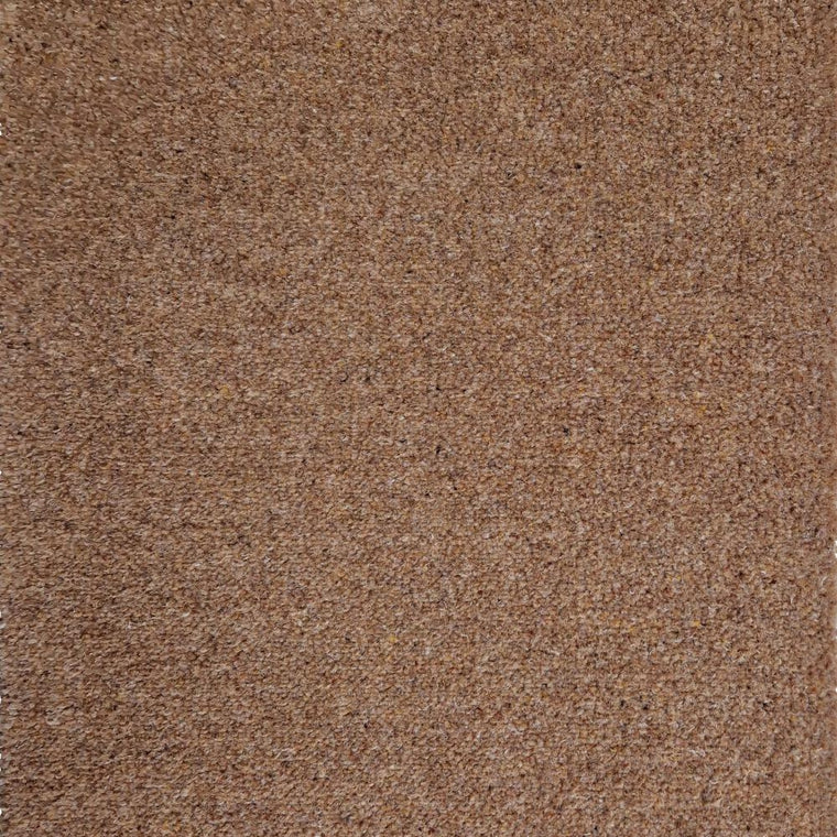 Brintons The Chroma Collection Biscotti 4/Q2003