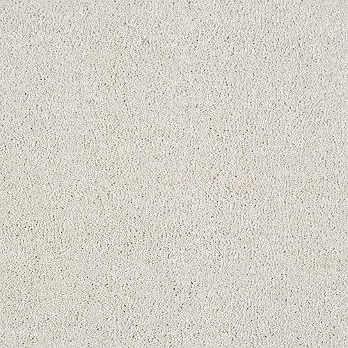 Indulgence Carpet