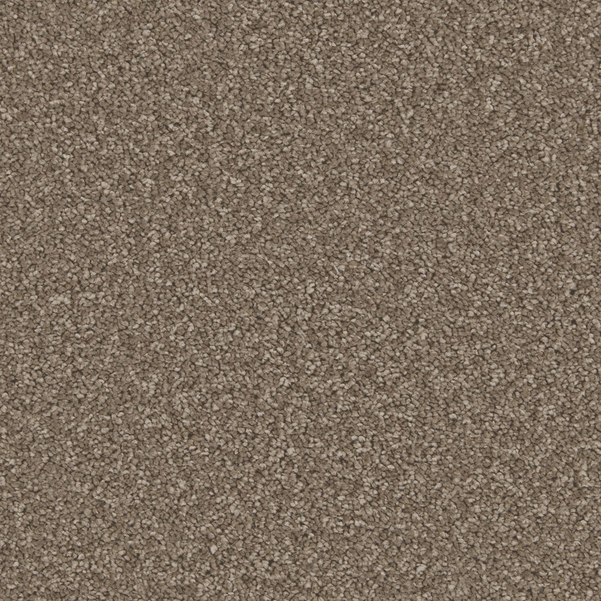 Cormar Aurora Brown Rice