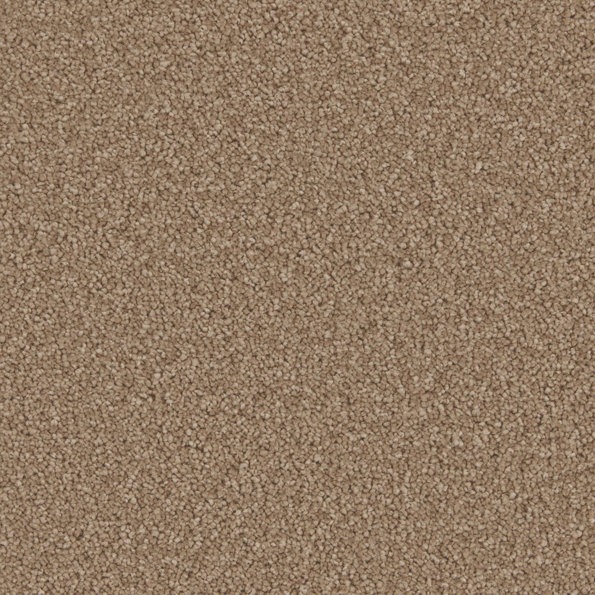 Cormar Aurora Canyon