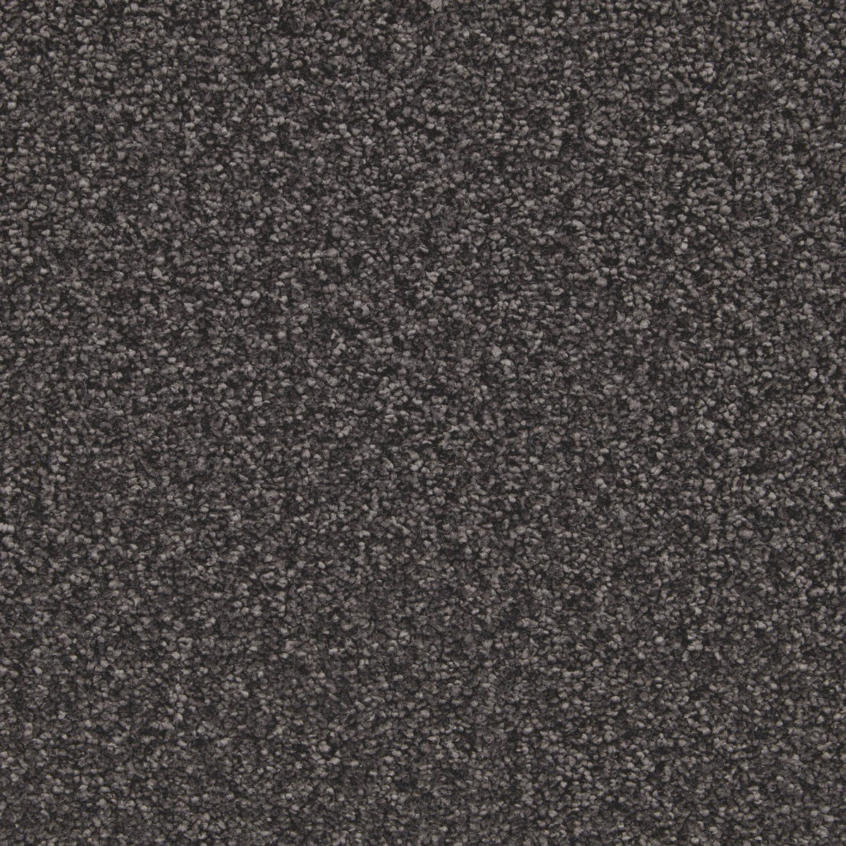 Cormar Aurora Carbon