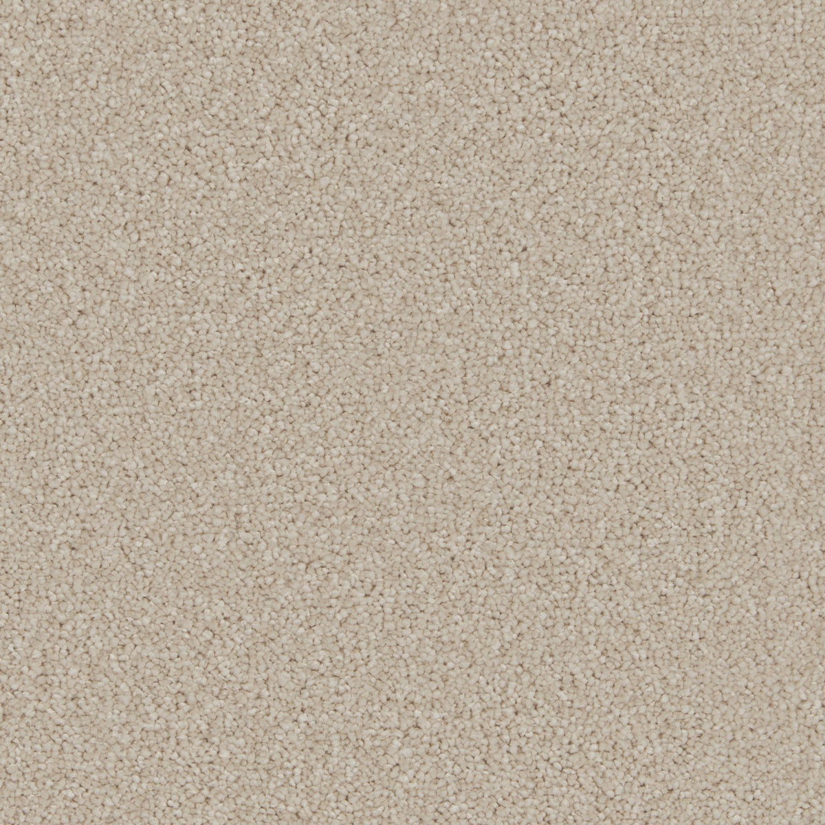 Cormar Aurora Champagne