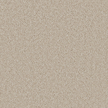 Cormar Aurora Champagne