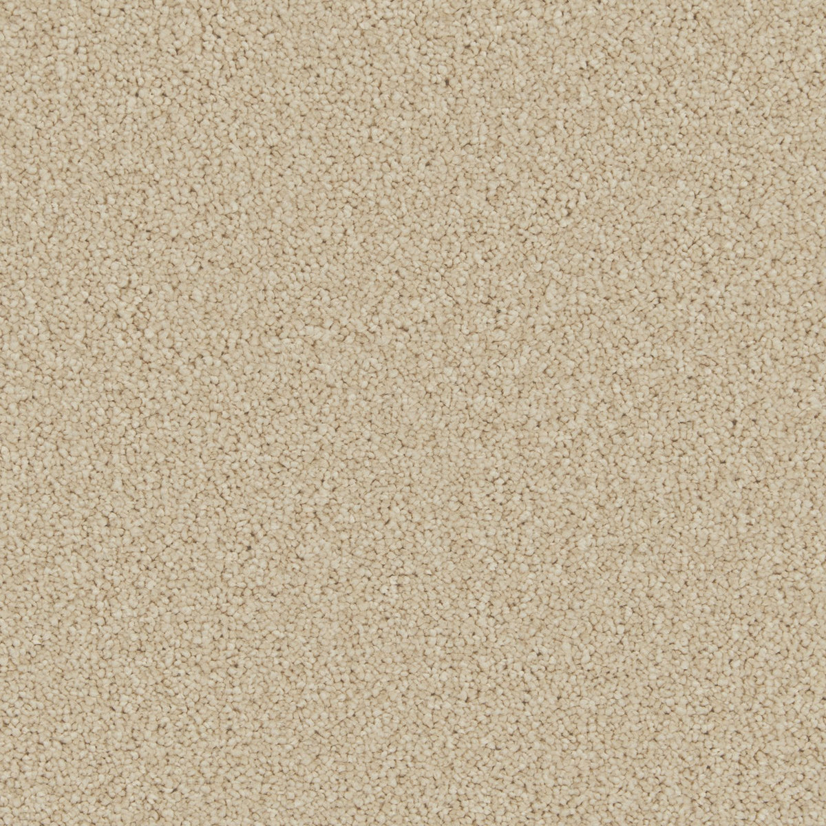 Cormar Aurora Honeycomb
