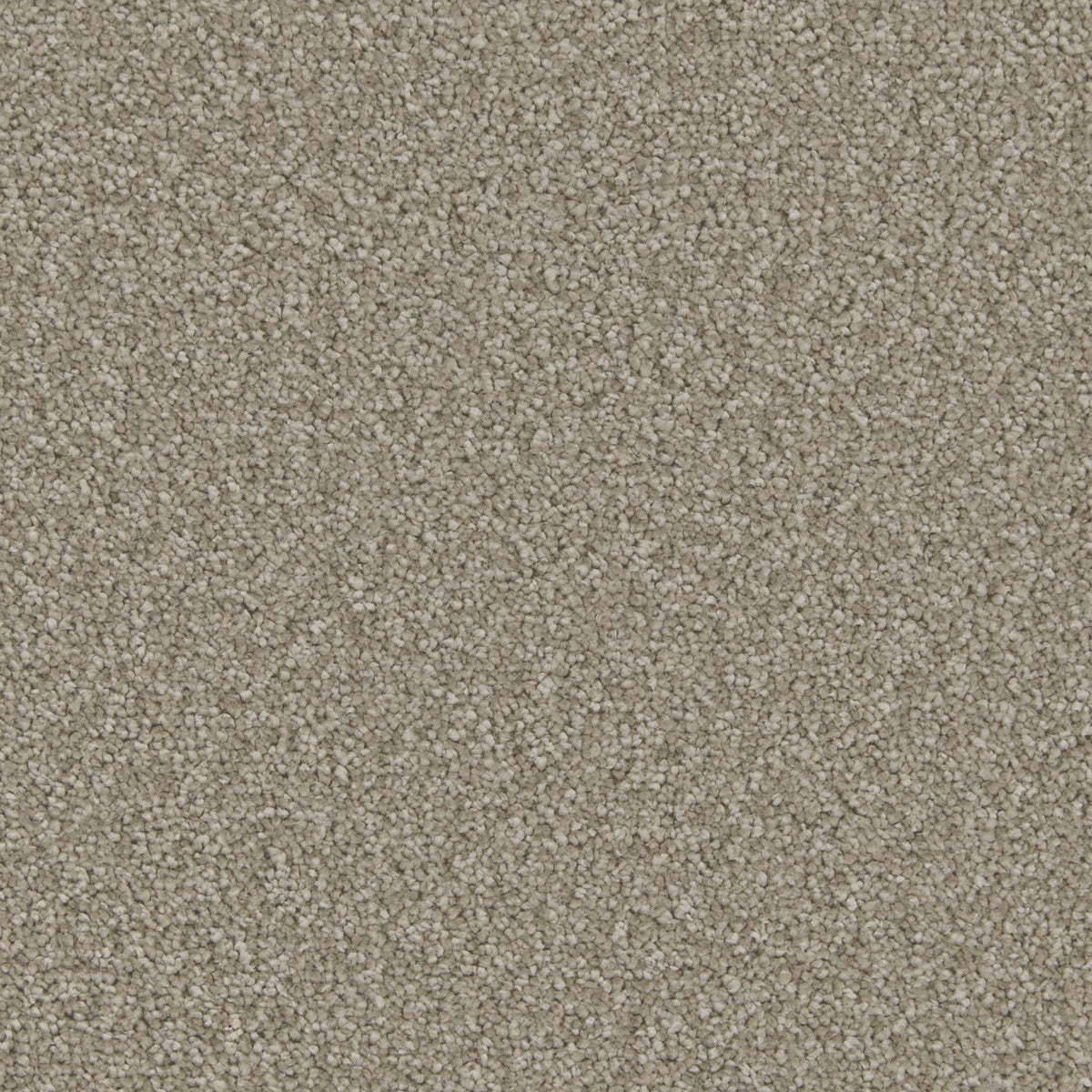 Cormar Aurora Thyme