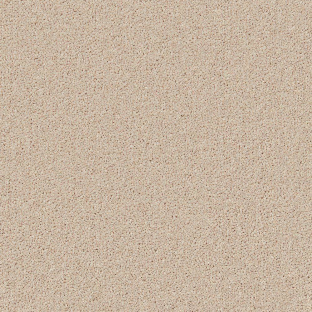 Cormar Hampstead Pacific Pearl