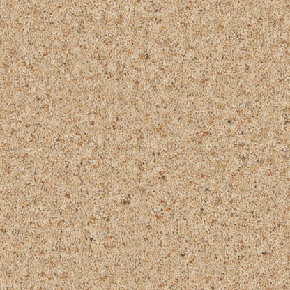 Cormar Natural Berber Twist Chamois