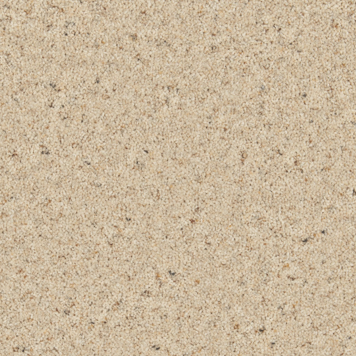Cormar Natural Berber Twist Morning Dew