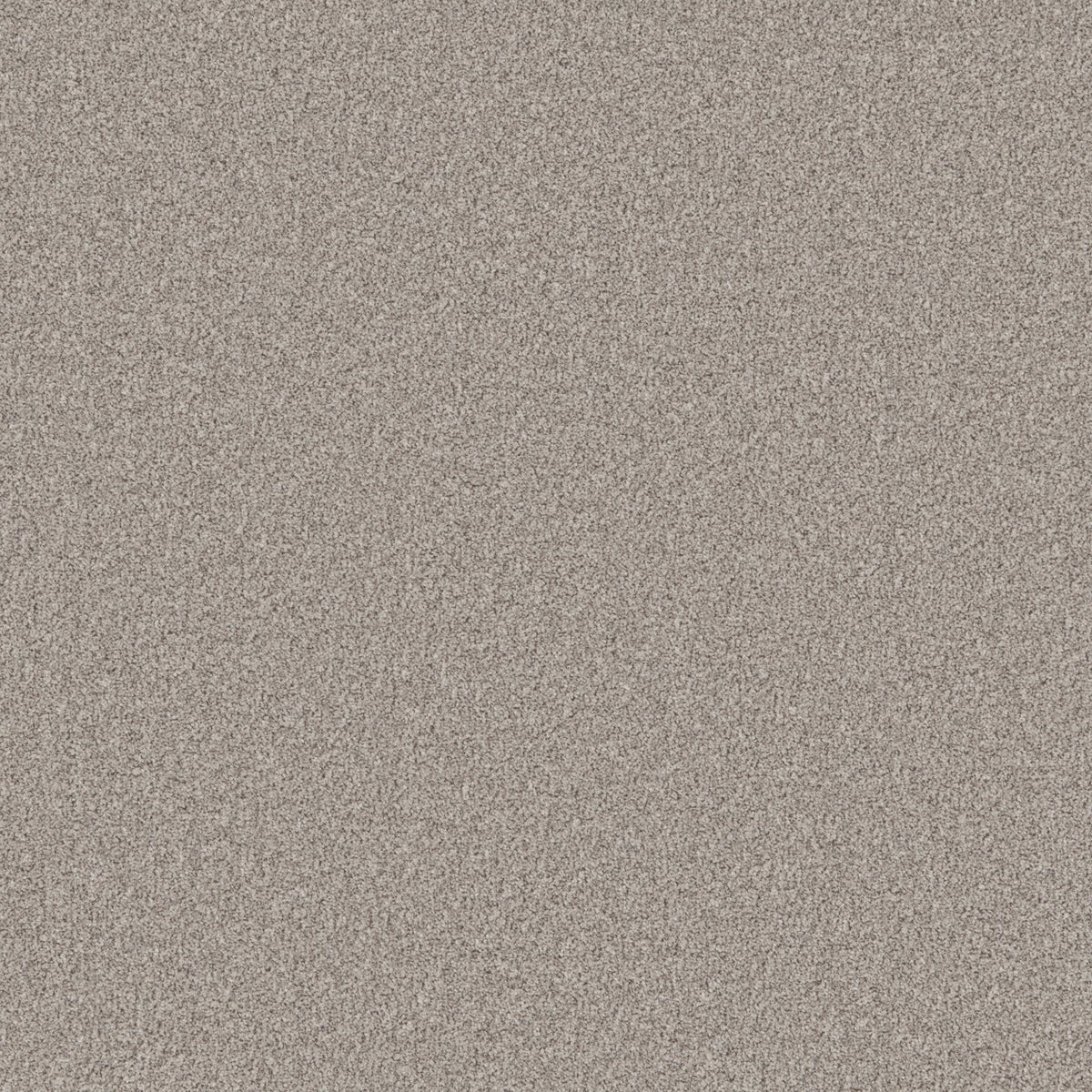Cormar Primo Naturals Nimrod