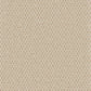 Cormar Primo Textures Canvas