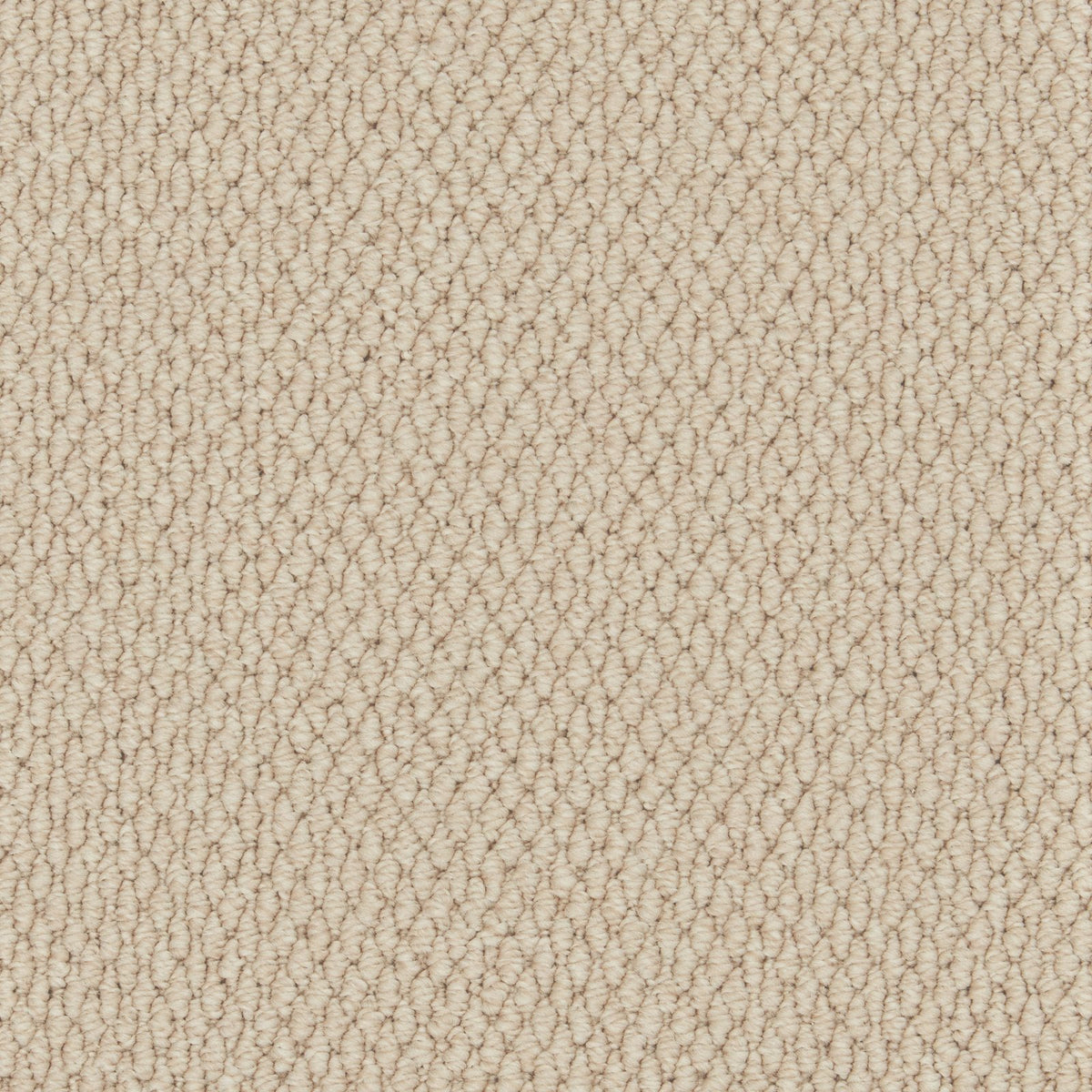 Cormar Primo Textures Canvas